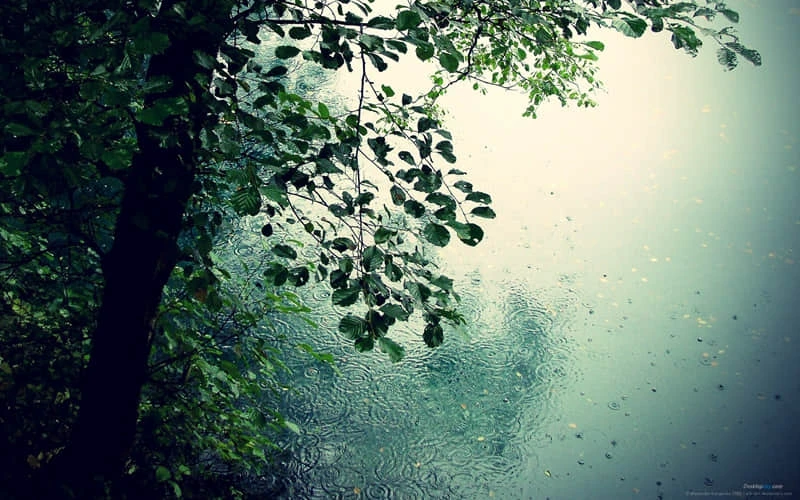 篮球后卫控球训练计划怎么写_0